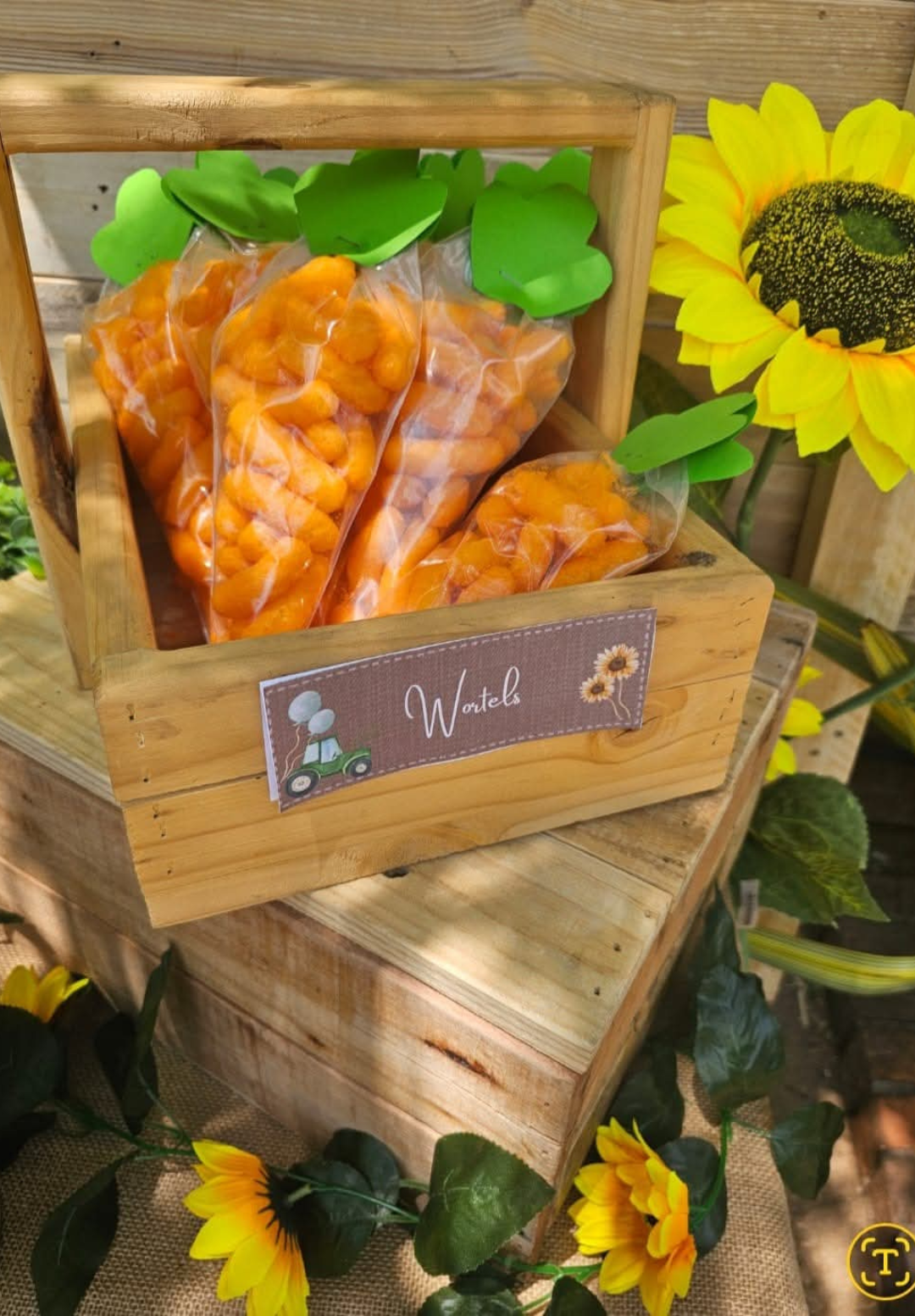 galary website Correct size 6